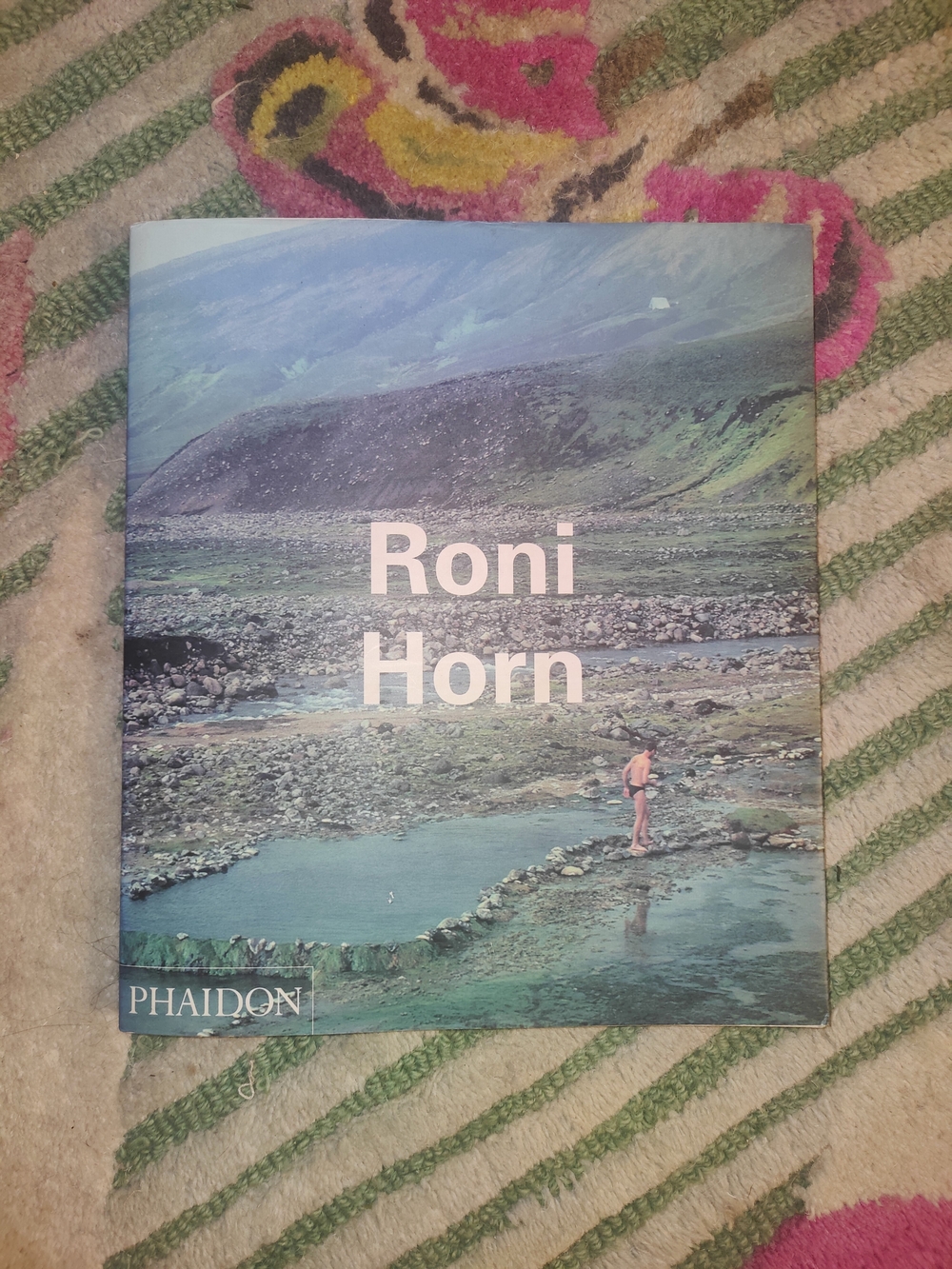 Phaidon Roni Horn Coffee Table Book — Blue-Green Landscape Cover